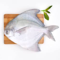 సందువ. (White Pomfret) 